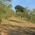 דירה Mischianti *