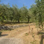 Mischianti
