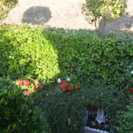 Mischianti Apartamento