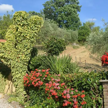 Apartment Mischianti *