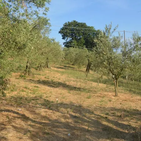 Apartment Mischianti *