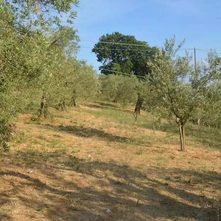 Apartment Mischianti *
