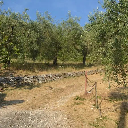 Mischianti