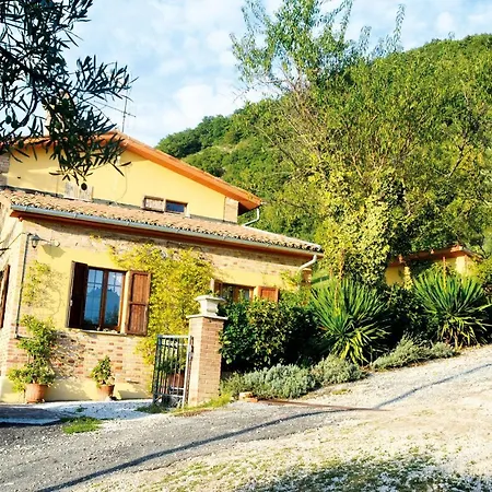 Mischianti *