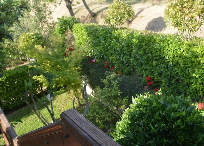 Mischianti Apartamento