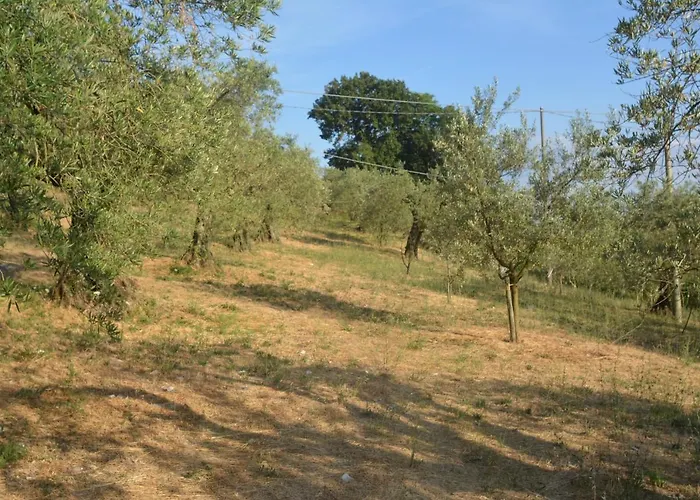 Apartamento Mischianti *